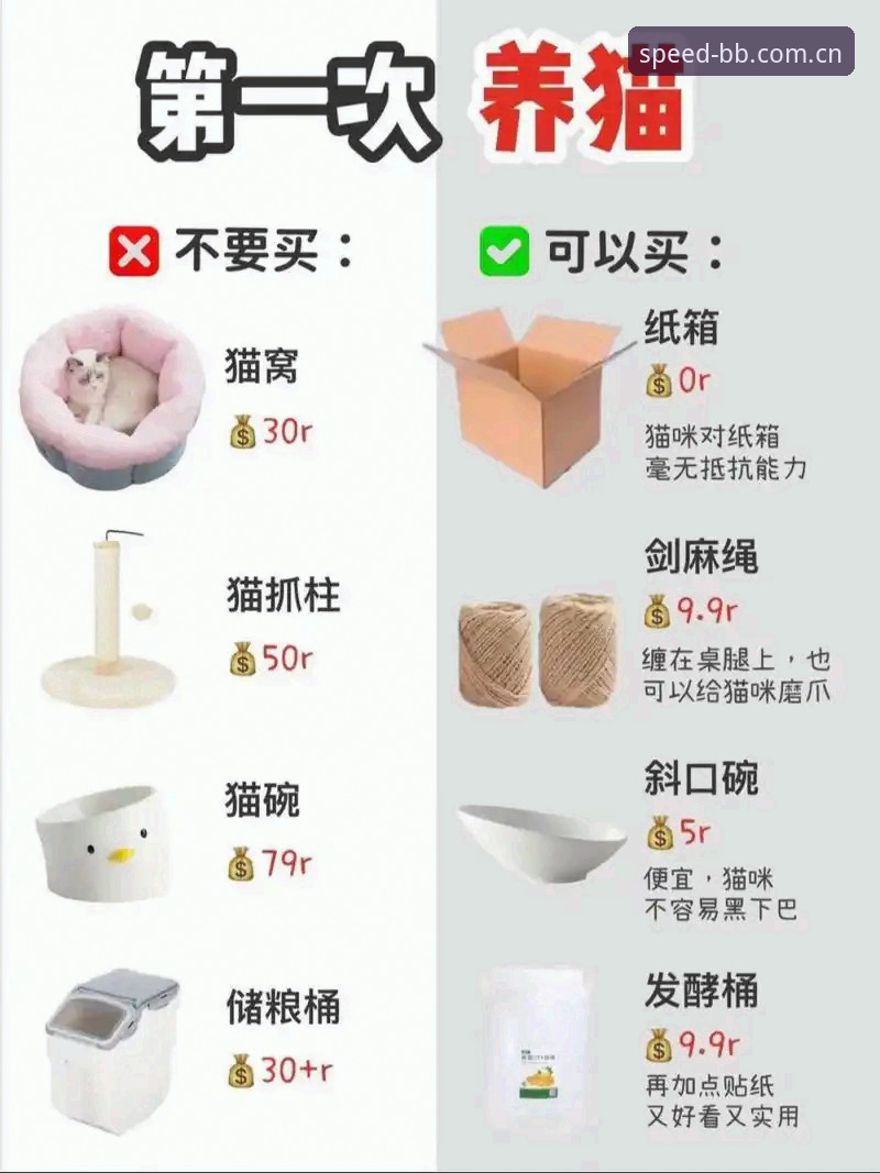 BB体育登录怎么下载 新手必看:在bb体育平台追踪德国队世界杯大名单与赛事动态完整指南